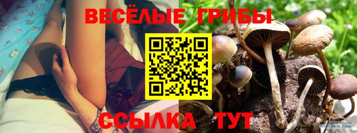 Губкин  Галлюциногенные грибы ЛСД  Галлюциногенные грибы мухоморы  Вход с VPN 
